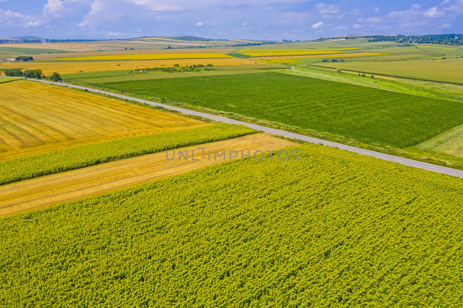 Aerial summer fields and road in a rural landscape