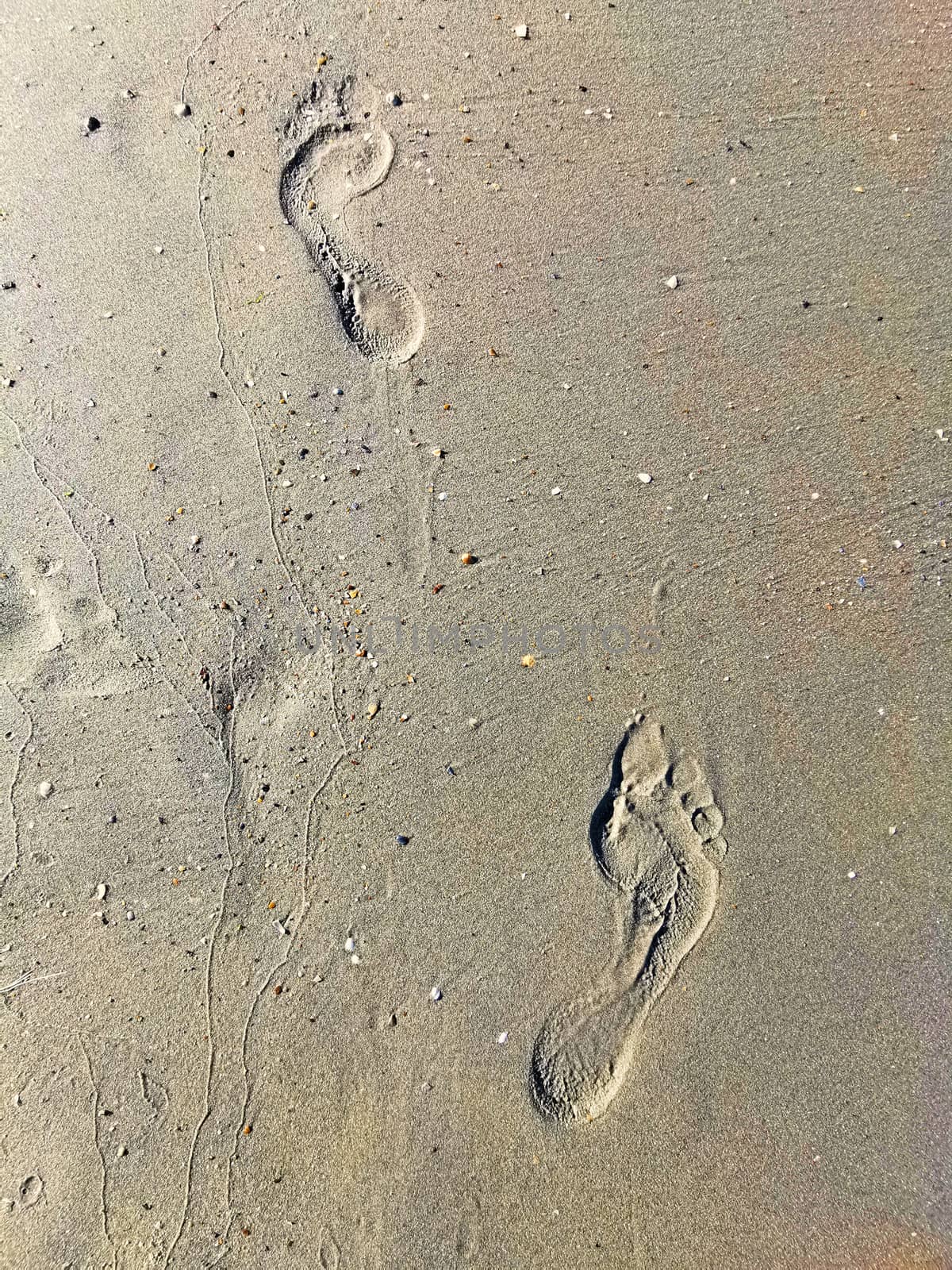Foot step on wet sandy beach, close image