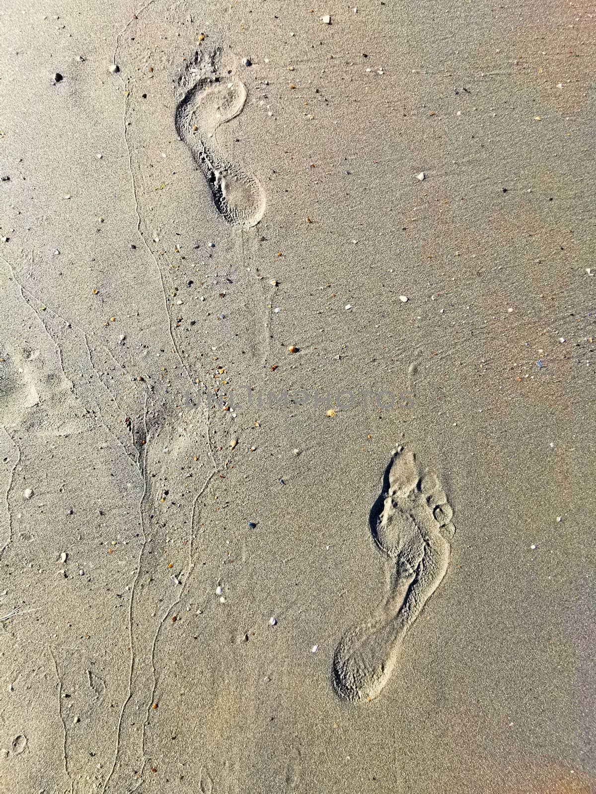 Foot step on wet sandy beach, close image