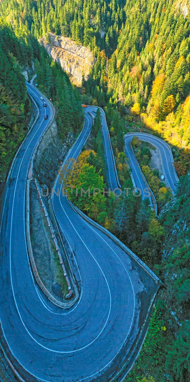 Wide angle serpentine road in green forest