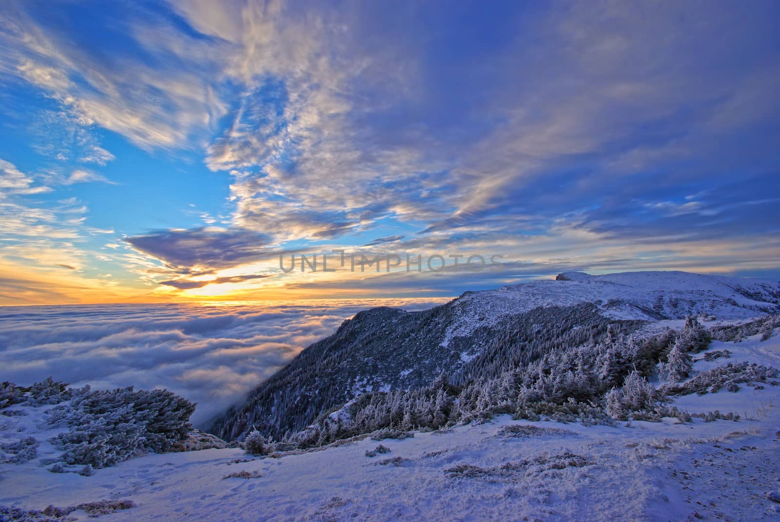 Winter scene in Romanian Carpathians, frozen nature and low clouds