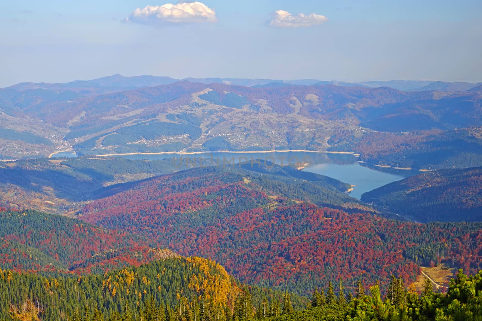 Aerial view of autumn forest  and lake, colorful forest trees on mountain