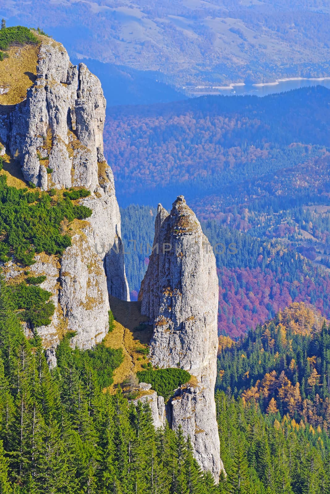 Autumn mountain rocks in mountain scene, forest background