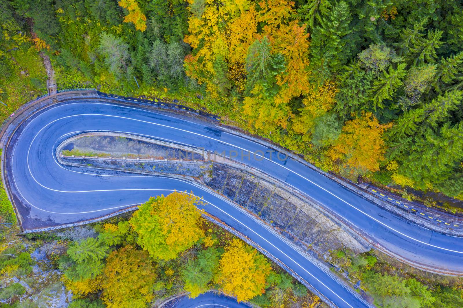 Road curve viewed from above in autumn mountain forest. Bicaz Gorges are a mountain pass between two historic region in Romania.