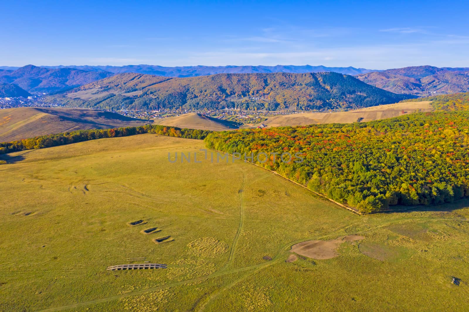 Aerial autumn landscape in rural area: colored pasture and forest trees