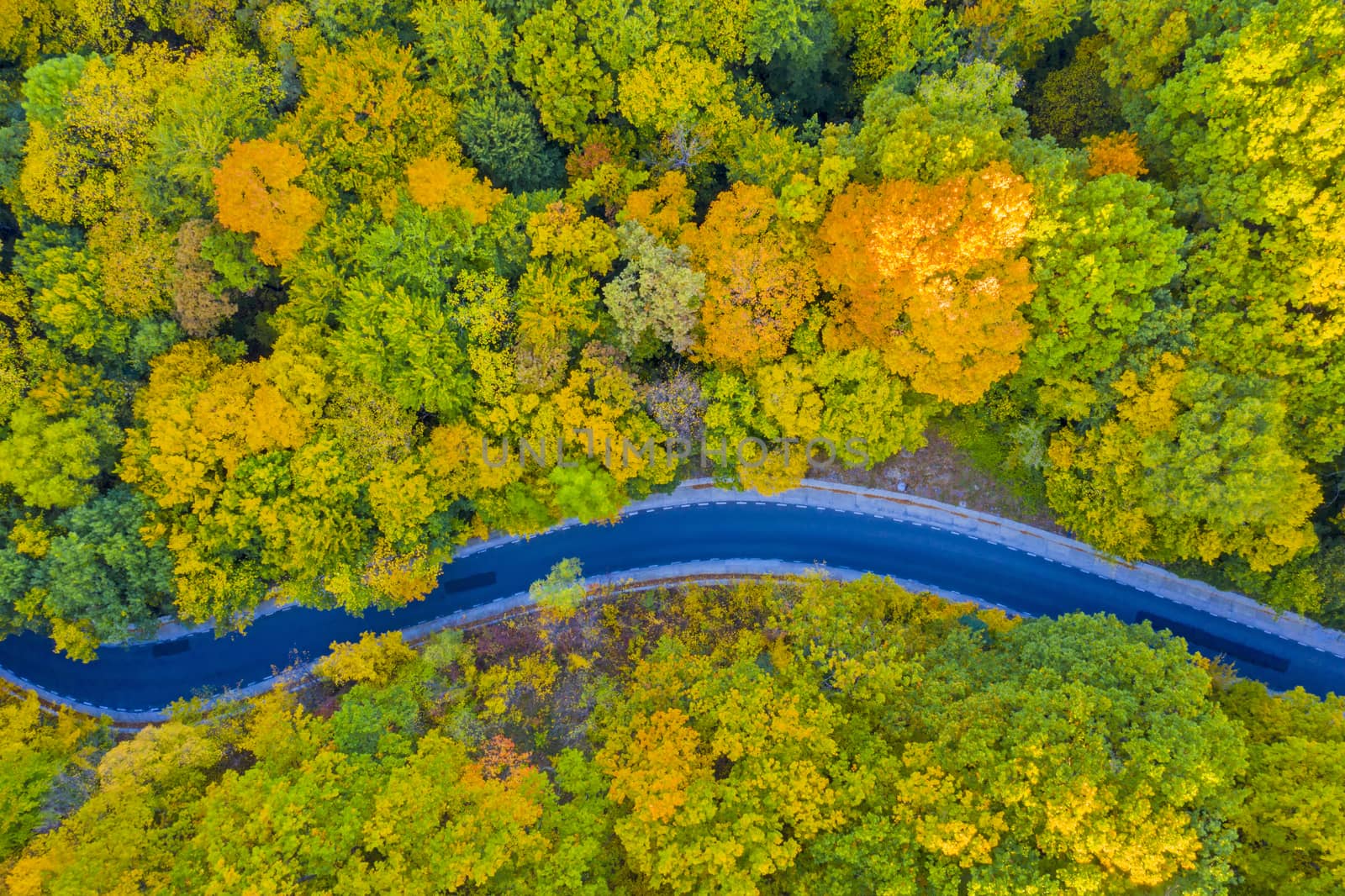 Aerial view of the road in fall forest, autumn travel