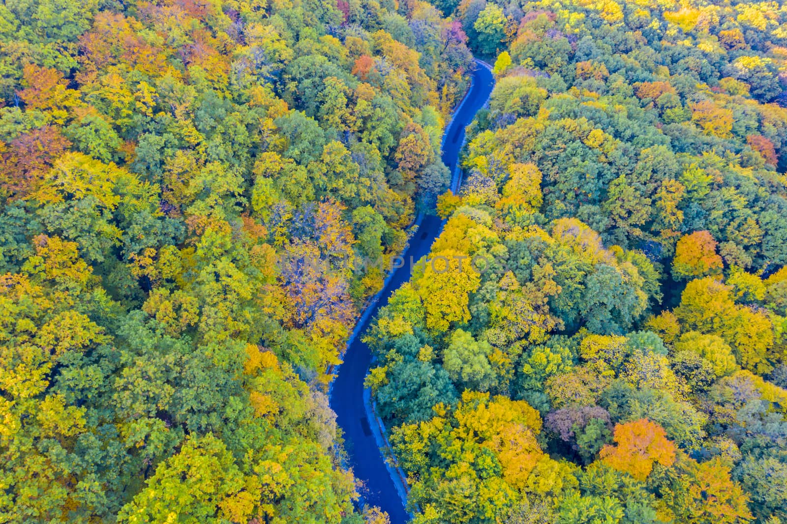 Fall forest road, aerial view of autumn trees and road