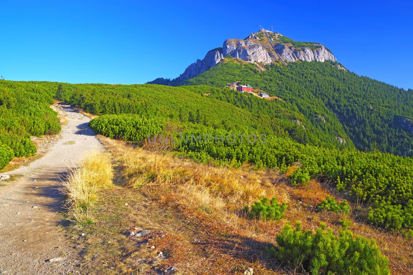 Green mountain against the blue sky by savcoco