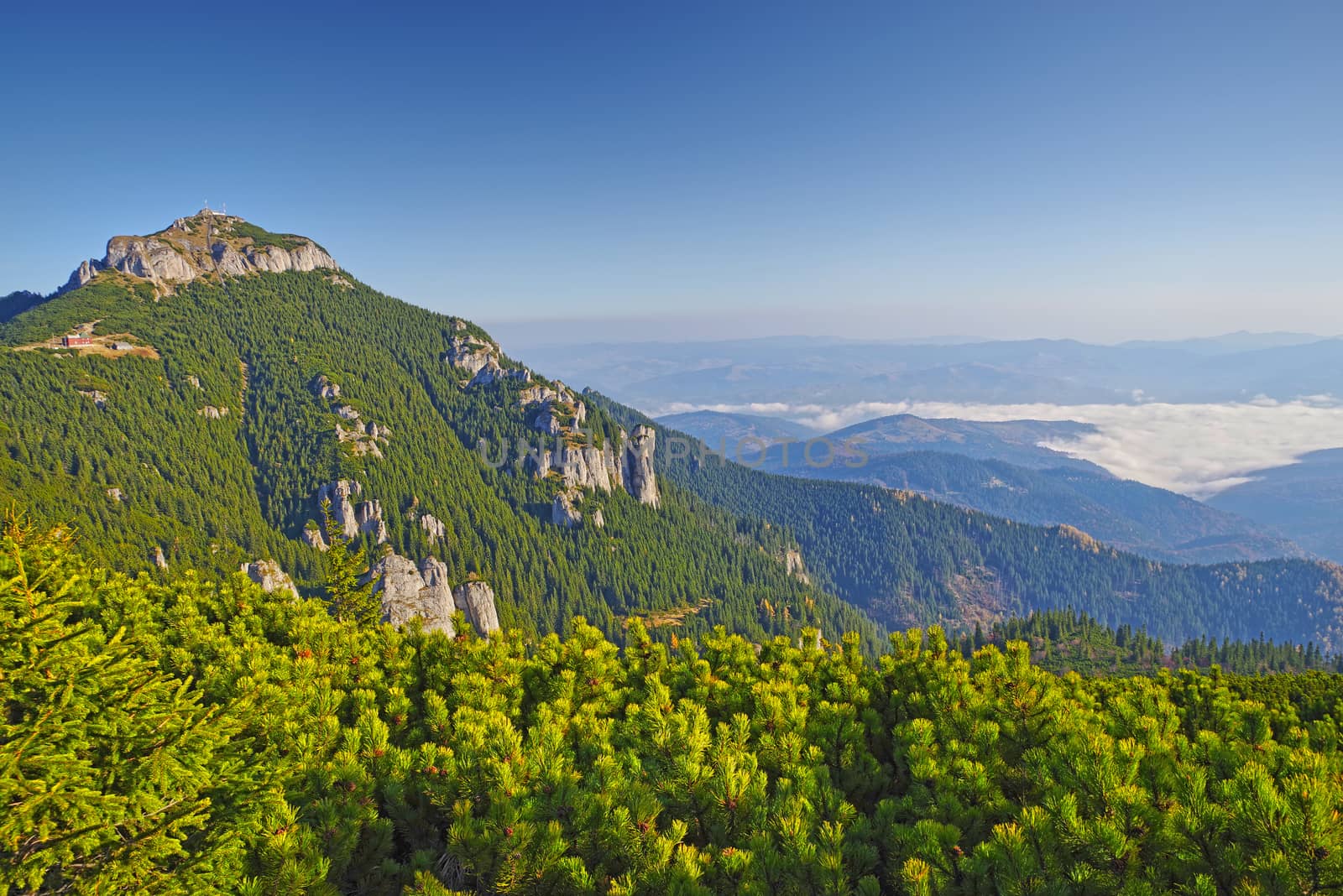 Green forest mountain and misty valley in Romanian Carpathian