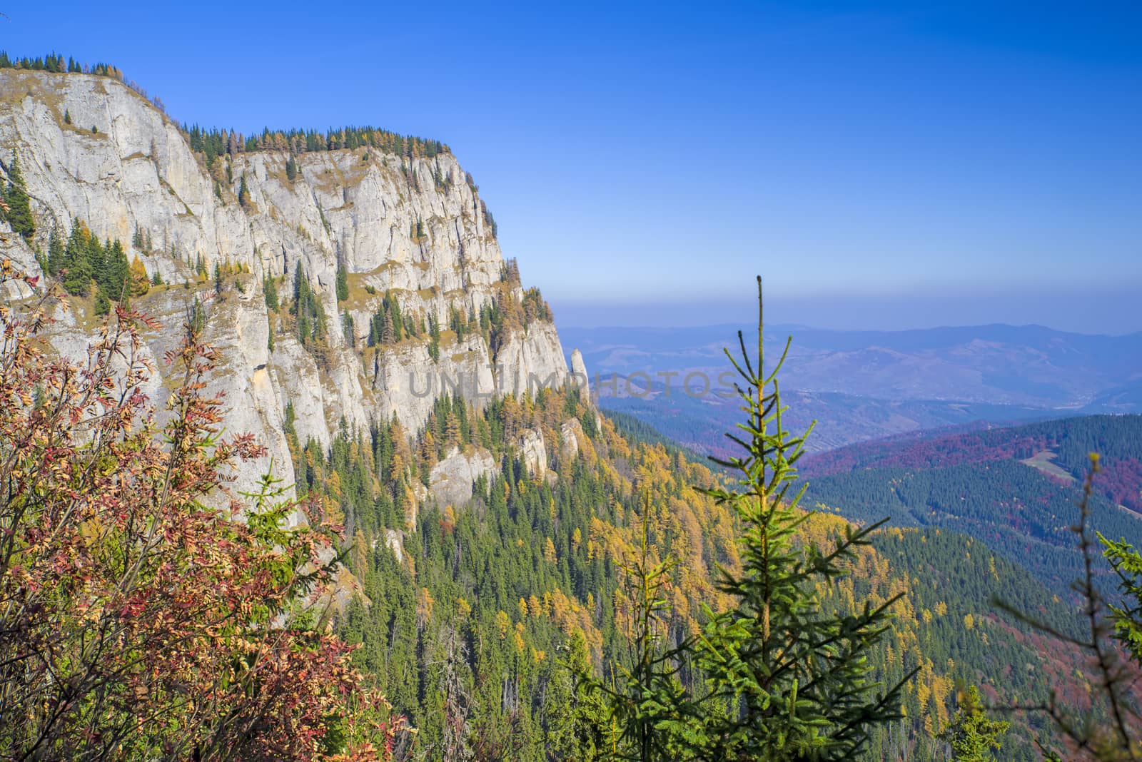 Aerial view of autumn forest and mountain rock in Romanian Carpathians.