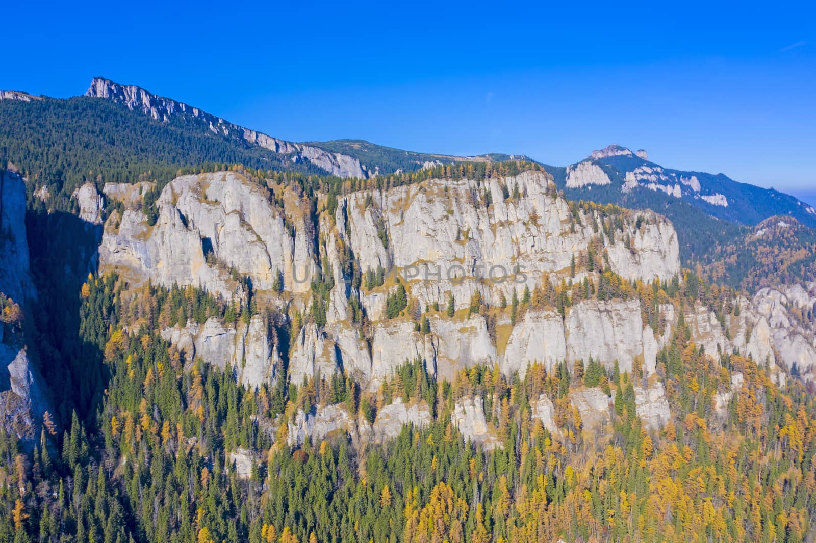 Late autumn landscape, coniferous forest on rocky mountain, Romanian Carpathians