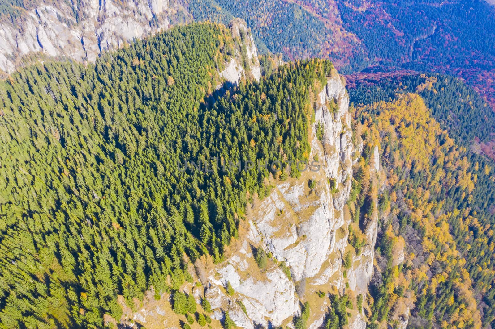 Rock mountain and autumn forest viewed from above by savcoco