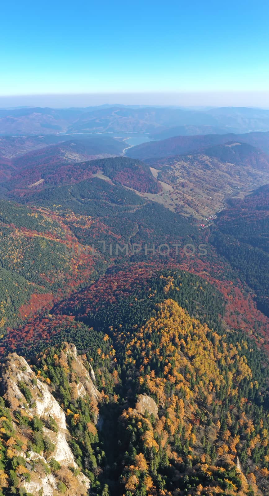 Aerial view of autumn forest trees by savcoco