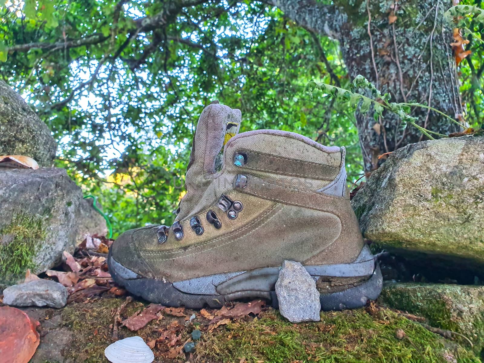 Well used garbage boot lost in the forest