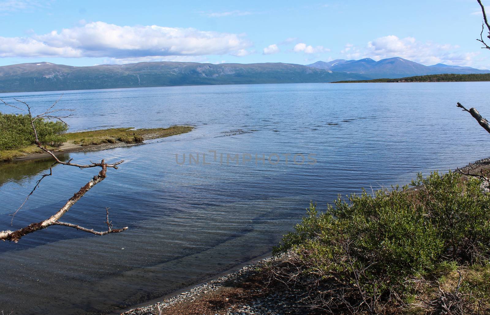 Overview of Kungsleden river in the arctic tundra. Abisko national park, Nothern Sweden