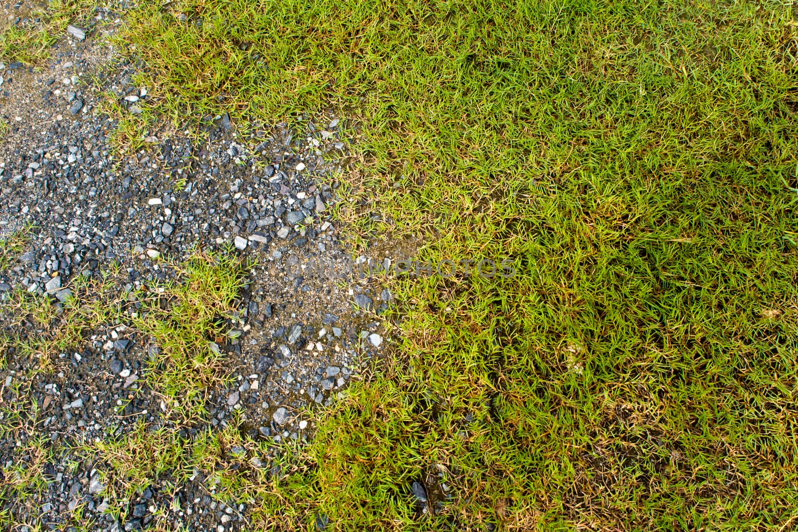 Texture of Crushed stone and grass