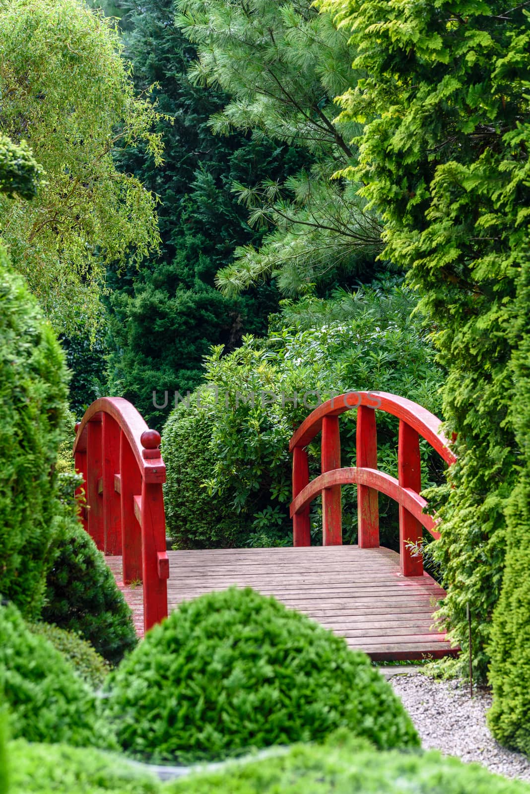 Beautiful Japanese garden with red wooden bridge among green trees