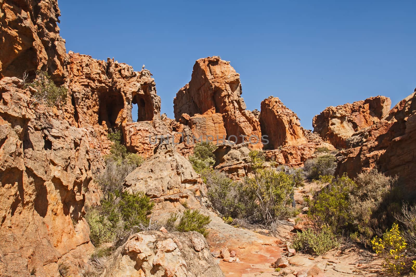 Interesting formations in the Table Mountain Sandstone of the Cederberg near the Stadsaal Caves. Western Cape. South Africa