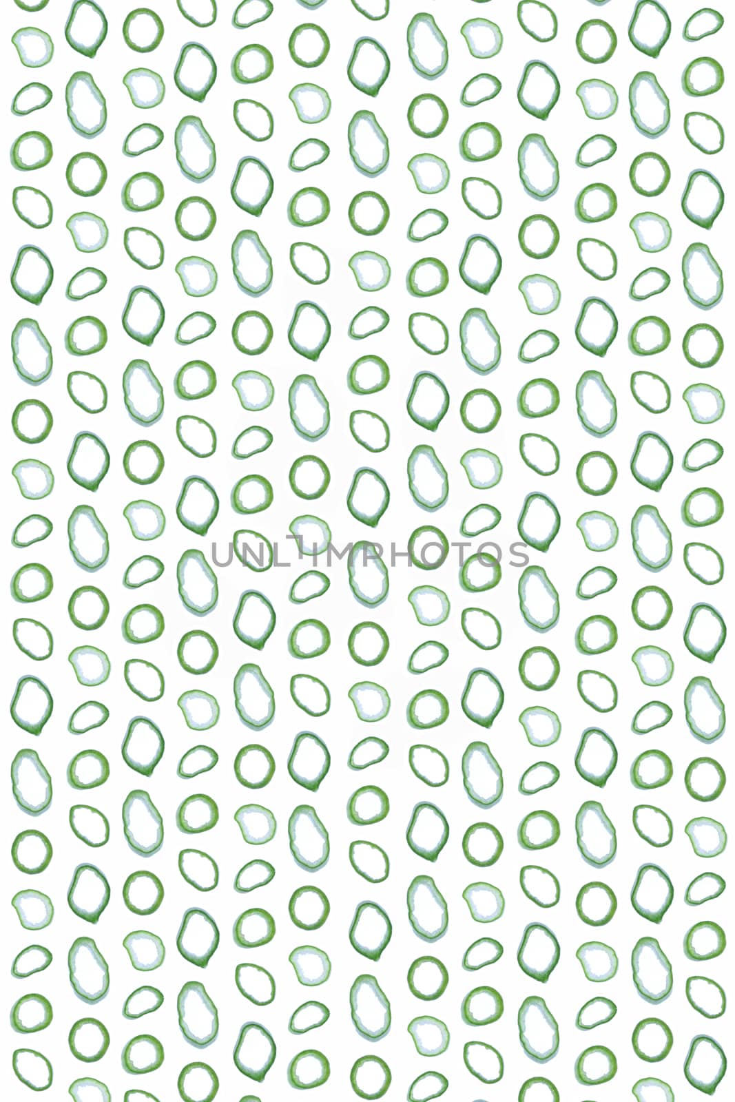 Onion rings pattern. Fresh healthy vegetable texture. Vegetarian product background. Portrait orientation. Vertical direction.