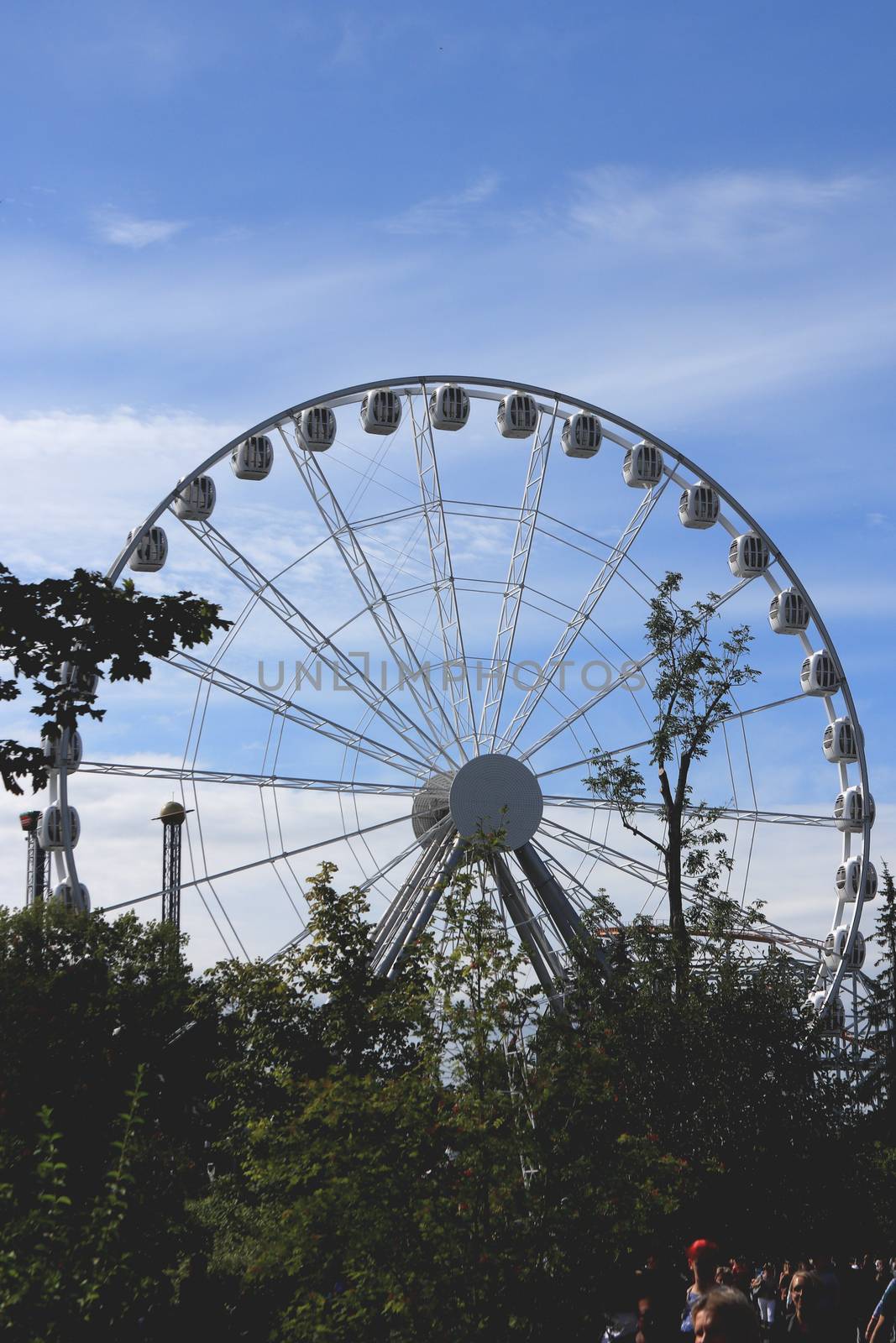 Amusement park wheel with trees on foreground. Amusement park Divo-island. Saint-Petersburg.