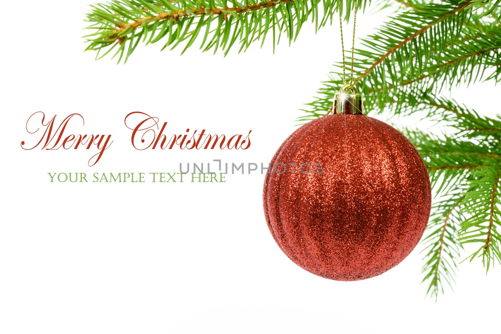 Shining red Christmas ball hanging from a branch of a Christmas tree isolated on a white background with copy space place (sample text).