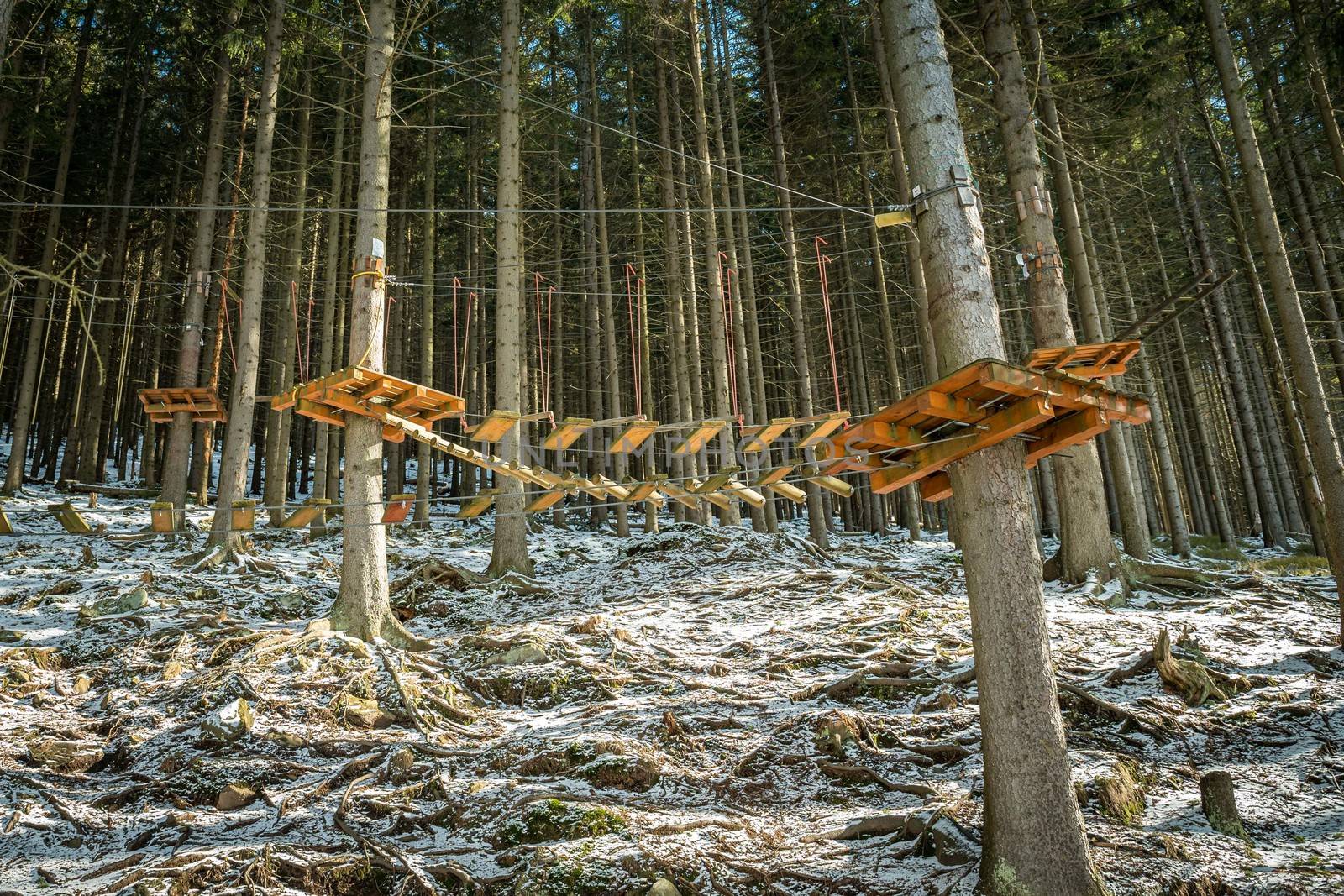 Sky walk in the forrest. Rope or monkey park in winter. by petrsvoboda91