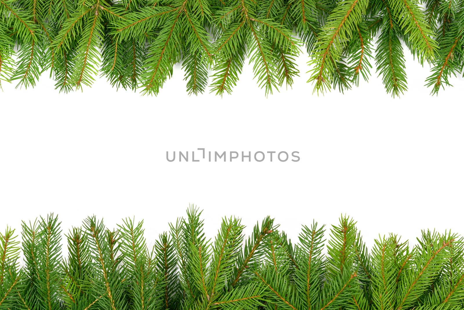 Mock up with Christmas Tree or New Year Border. Spruce twigs stacked in a row on a white background (high details).