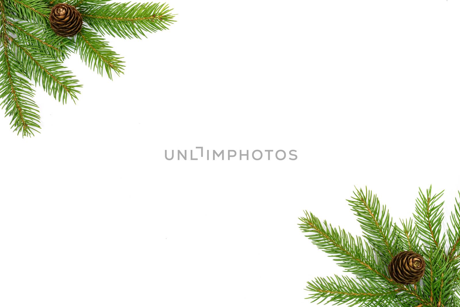 Christmas tree green framework with spruce brunches and cones  isolated on white background.