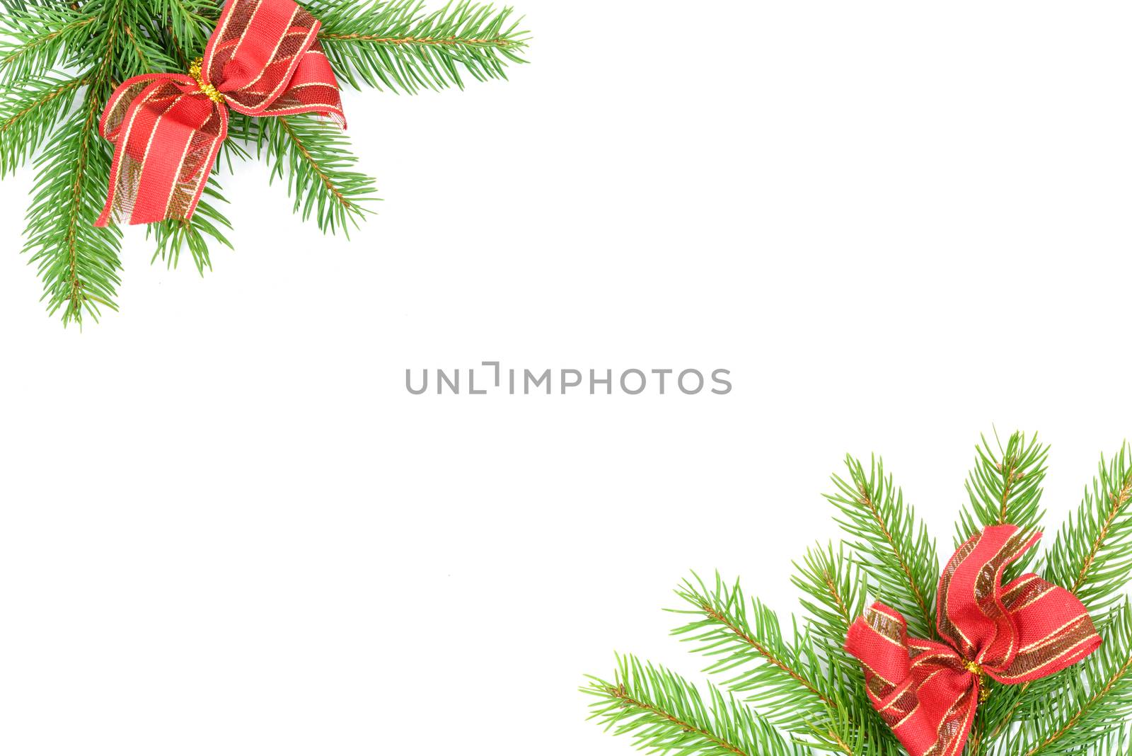 Christmas tree green framework with spruce brunches and red bows  isolated on white background.