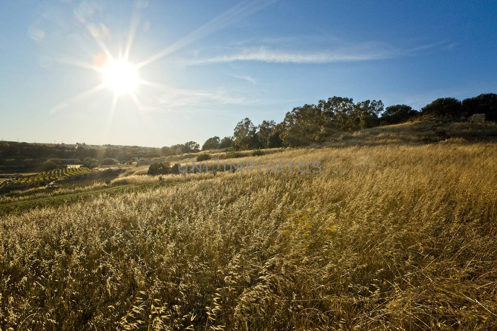 Peaceful meadows on a sloping hill on the outskirts of Rabat in Malta