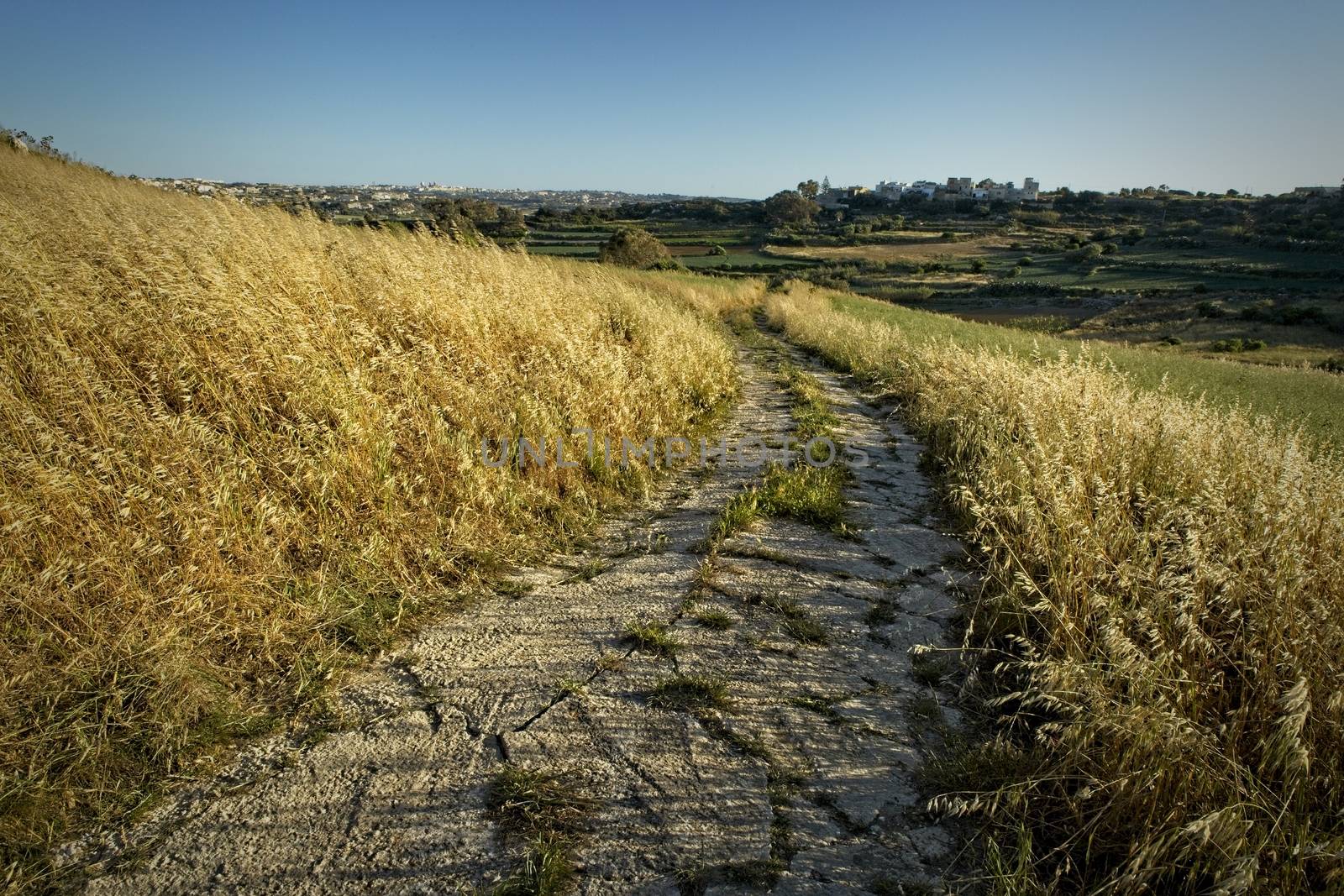 Countryside lane on the outskirts of Rabat in Malta