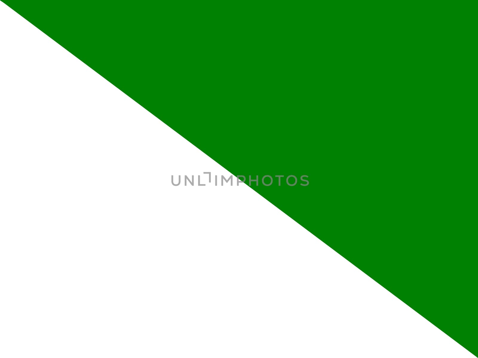 The flag of the Russian region of Siberia in white and green