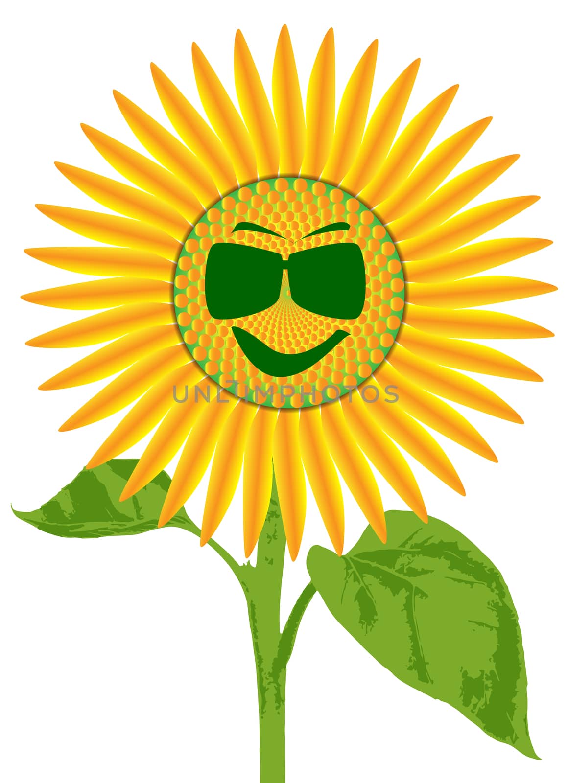 Smiley Face Giant Sunflower by Bigalbaloo