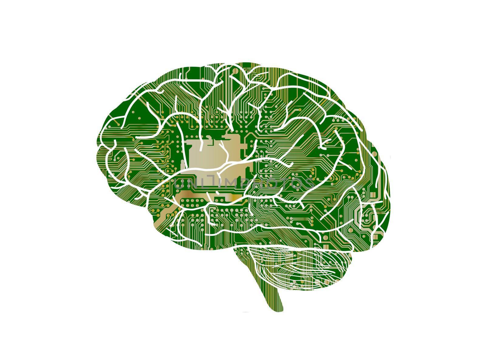 several questions about green the brain on white background - 3d rendering