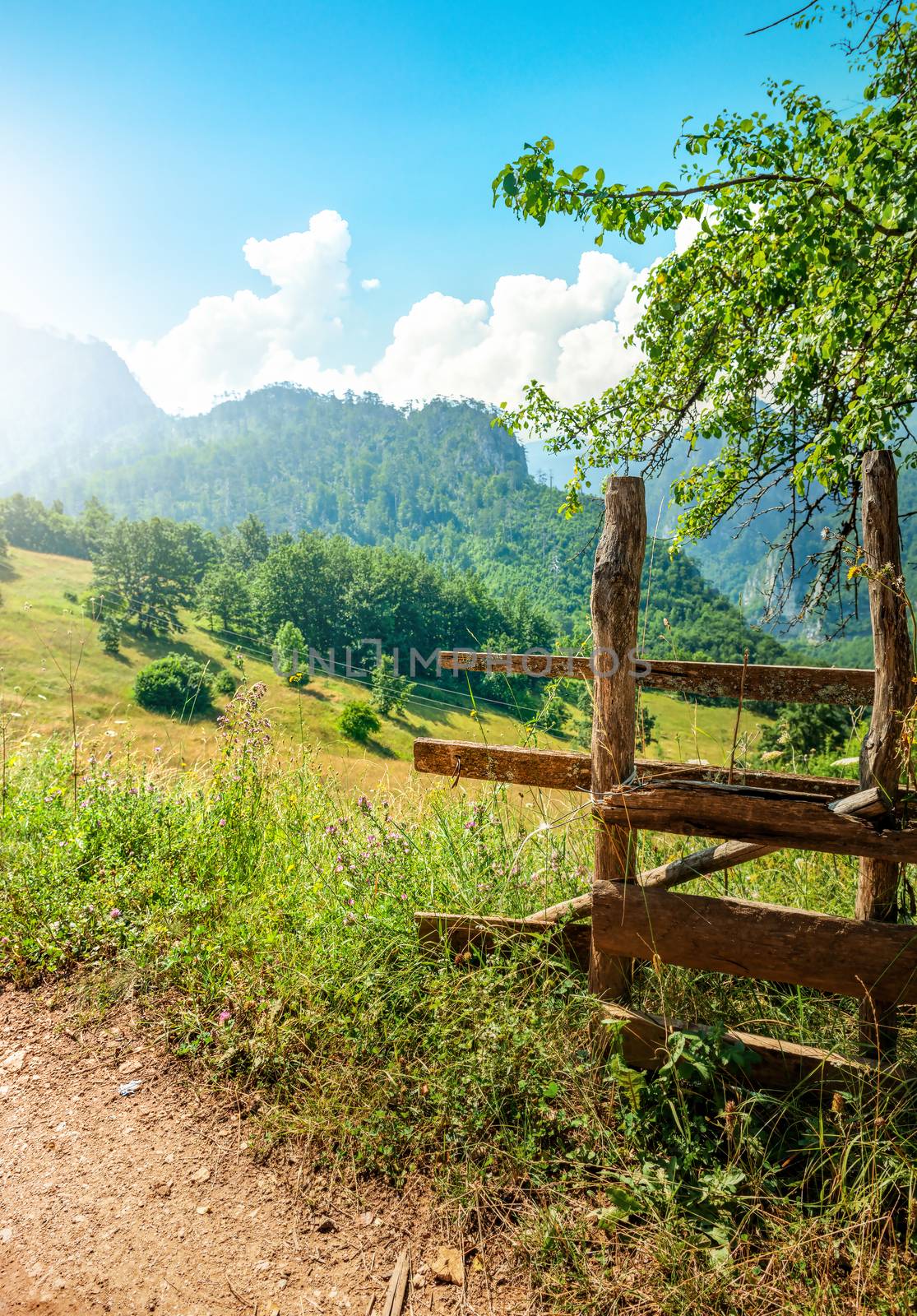 Montenegro, the road in a canyon. Canyon near city Zabljak