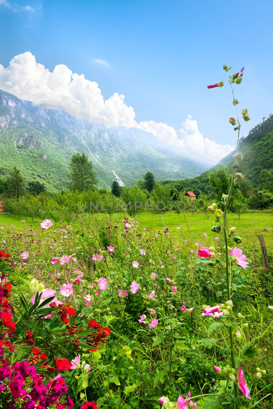 Durmitor National park by Givaga