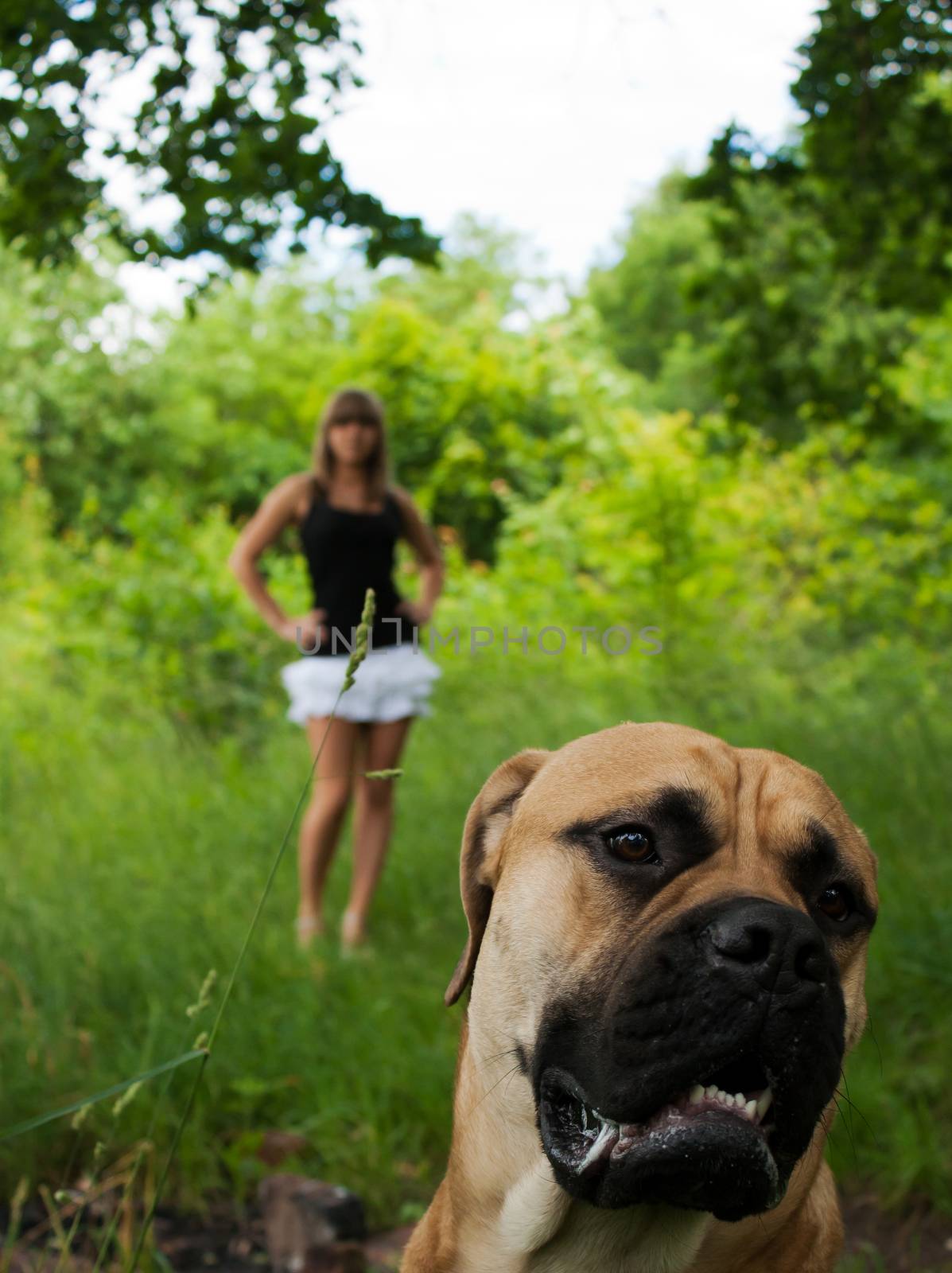 young girl with her dog walking in city park