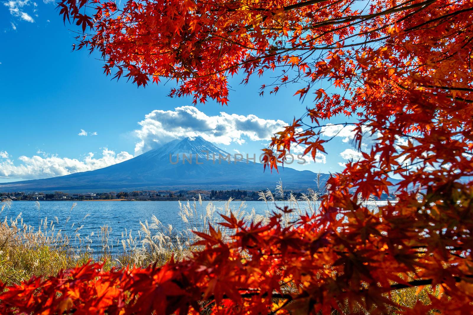 Fuji mountain and Kawaguchiko lake in autumn, Japan. by gutarphotoghaphy