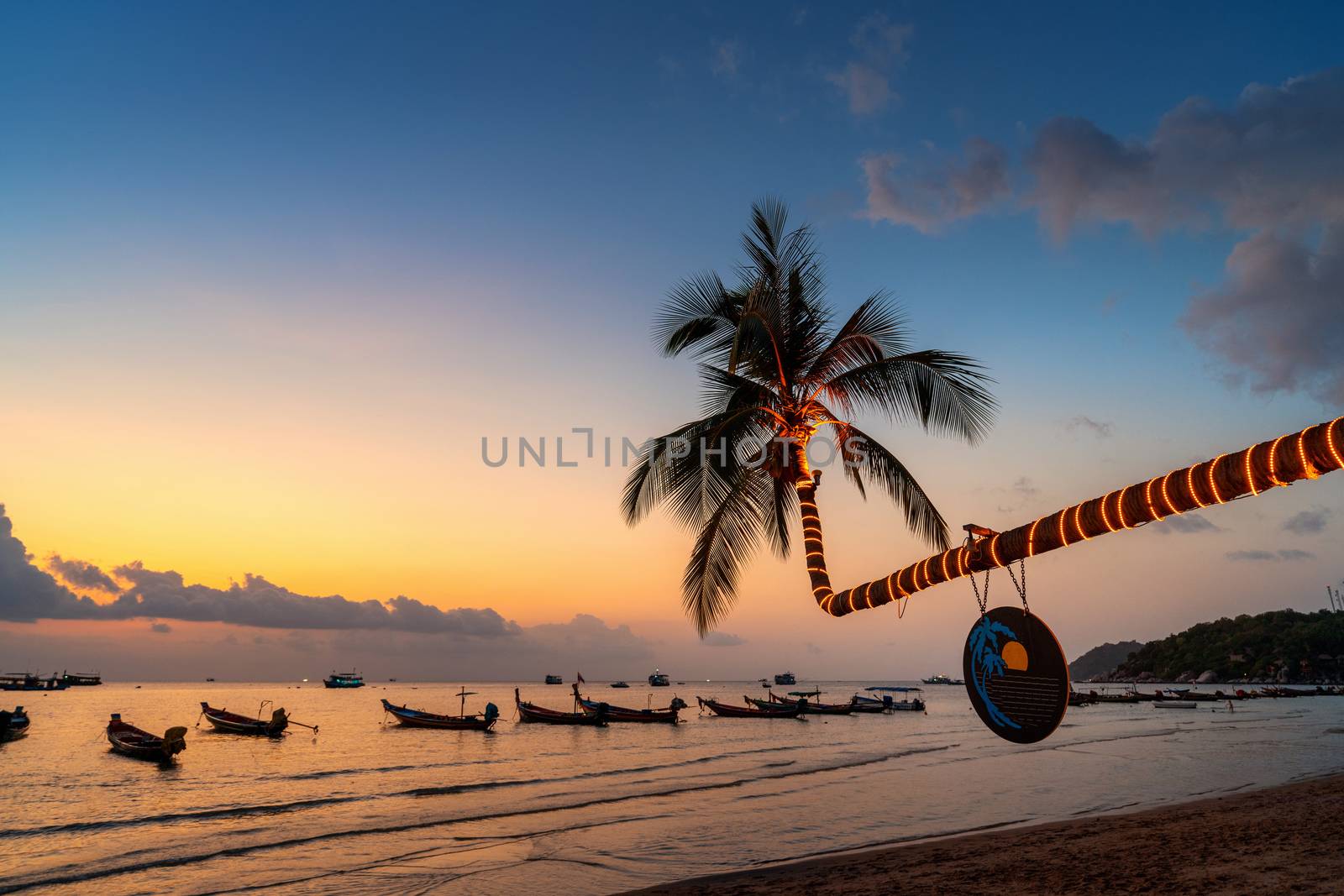 Beautiful coconut trees and sunset on the beach, Koh Tao island in Thailand. by gutarphotoghaphy