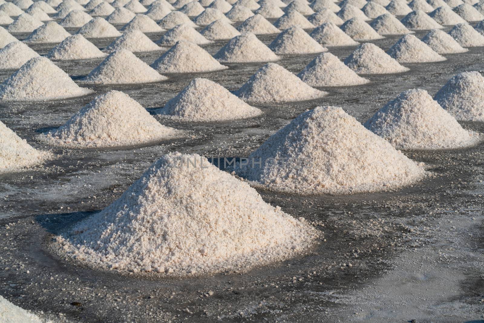 Salt in salt farm ready for harvest, Thailand.