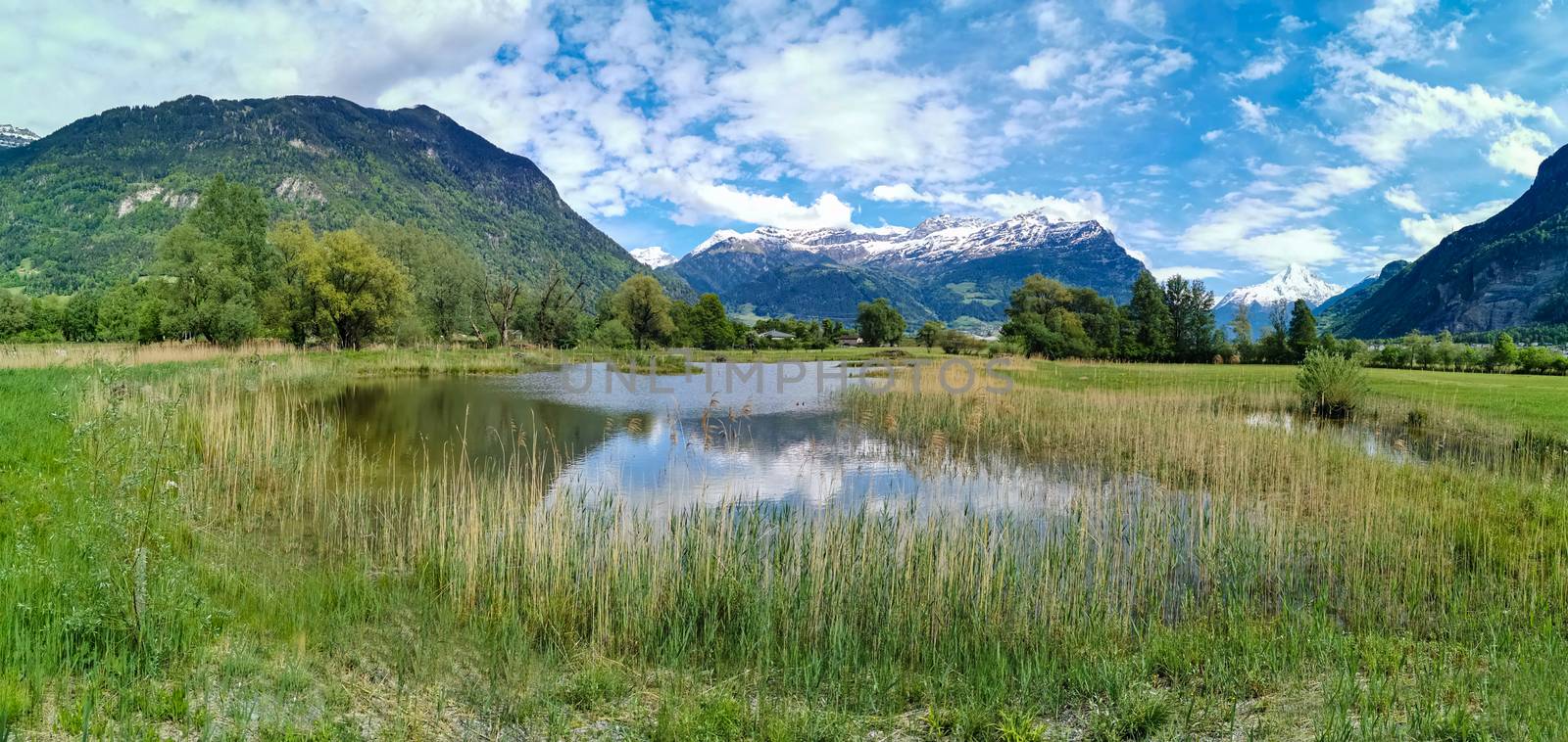 Panorama in canton Uri, Switzerland with swiss Alps and cloudy Sky