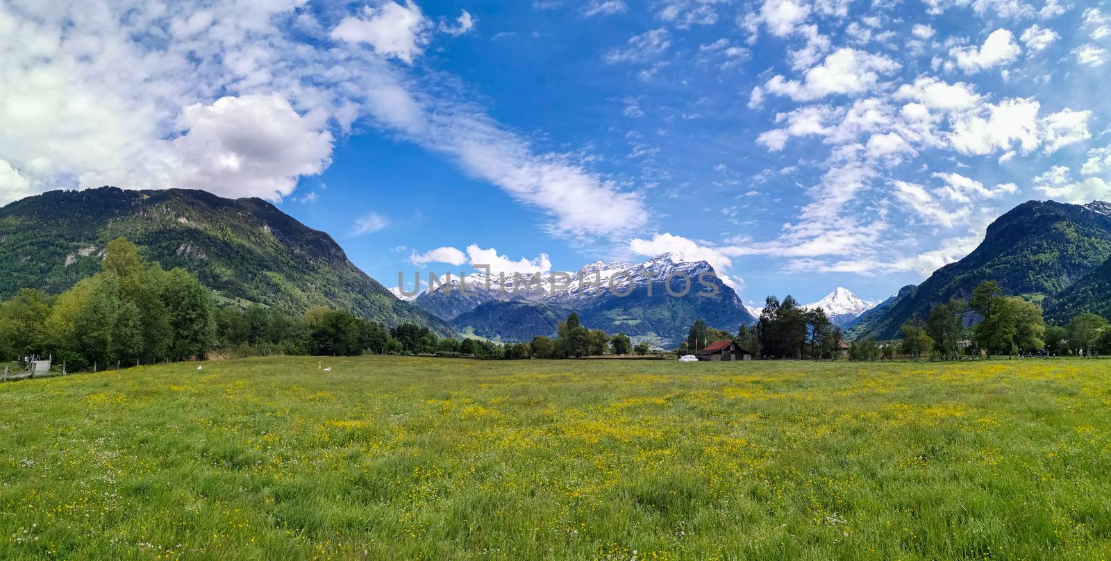 Panorama in canton Uri, Switzerland with swiss Alps and cloudy Sky
