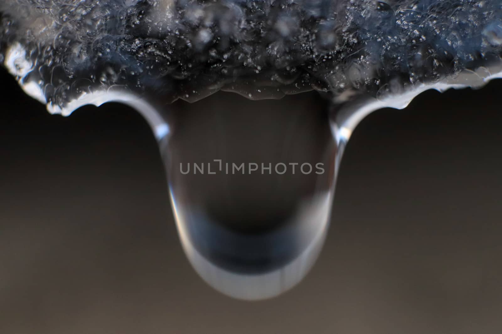 Handing down water drop from ice top. Cold clear rain drop with ice reflection inside. Macro closeup. by sanches812