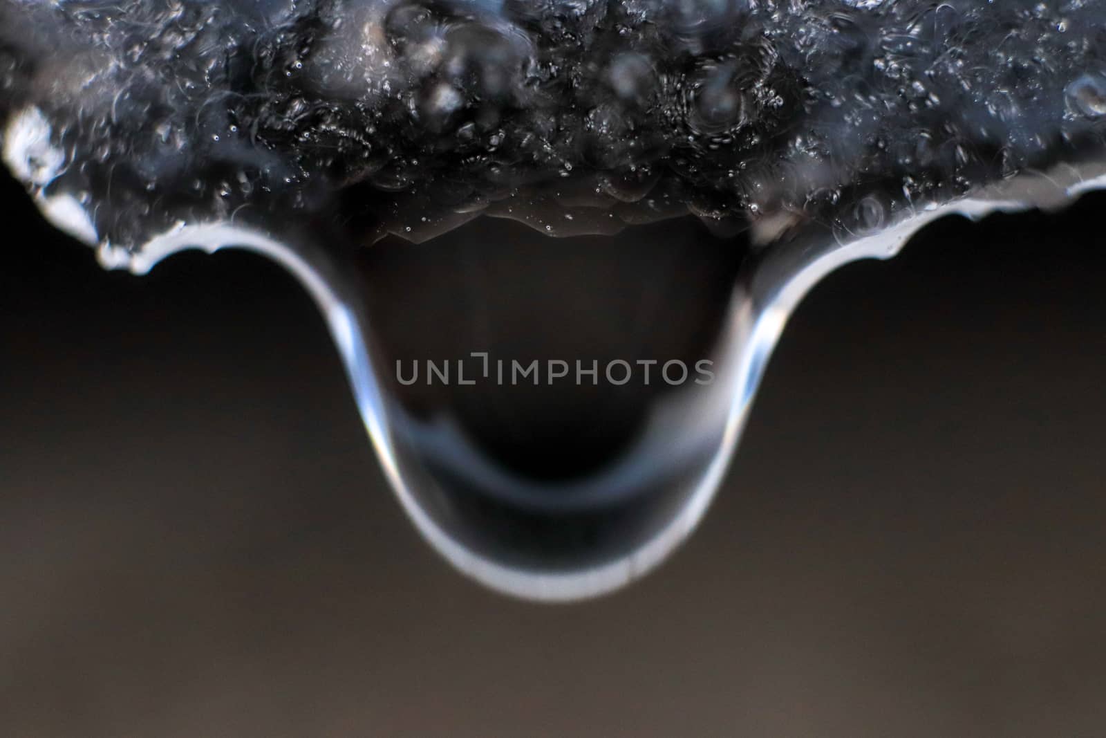 Handing down water drop from ice top. Cold clear rain drop with ice reflection inside. Macro closeup.