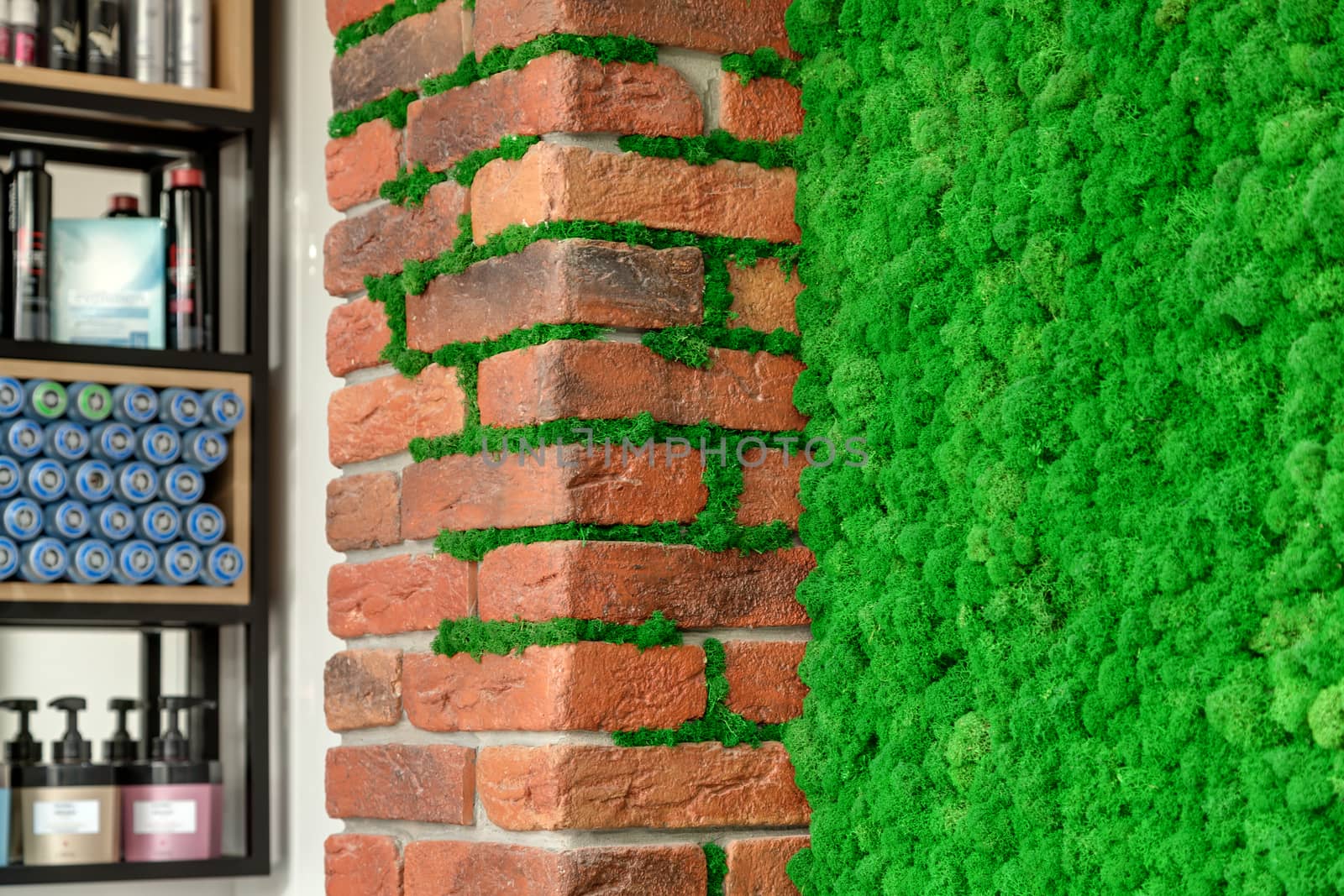 Brick wall with decorative green moss and a shelving in the background