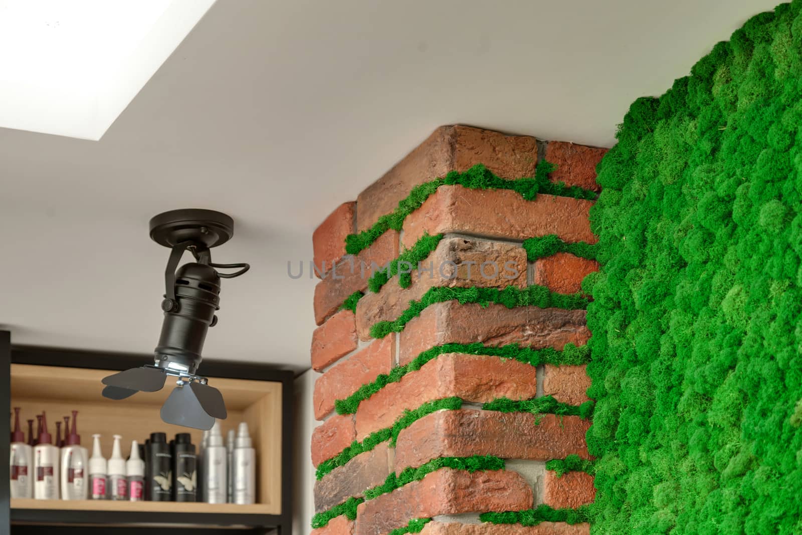 Brick wall with decorative green moss and a shelving in the background