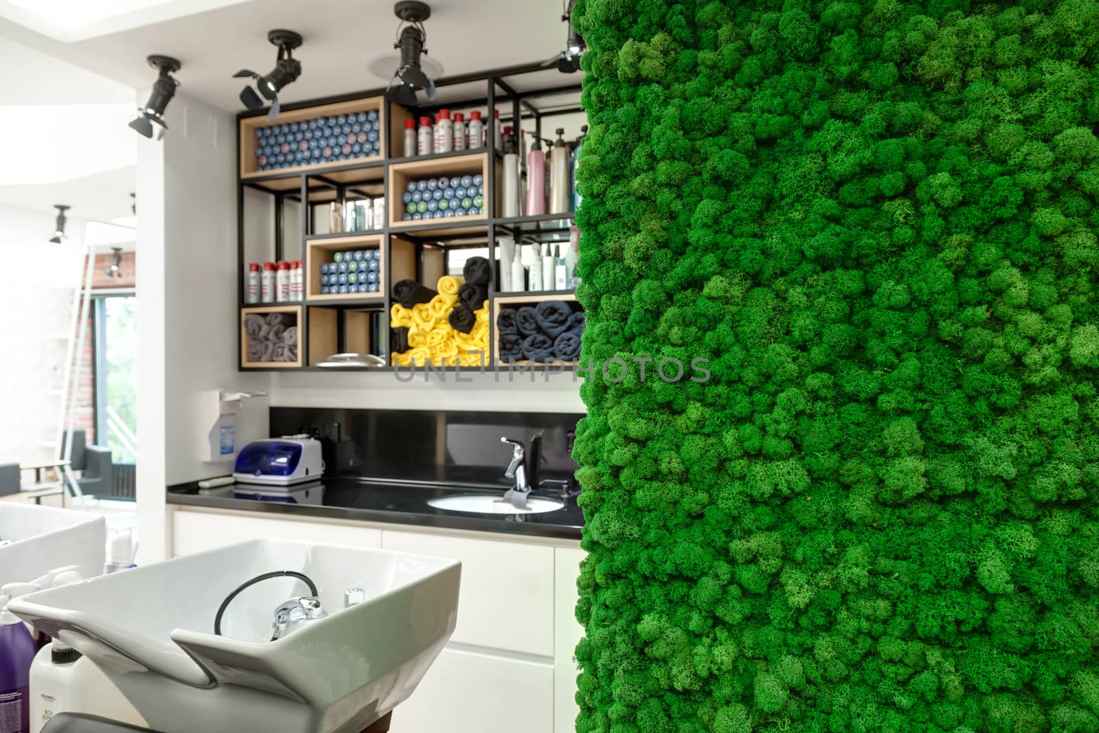 Decorative wall of green moss in a beauty salon by sveter