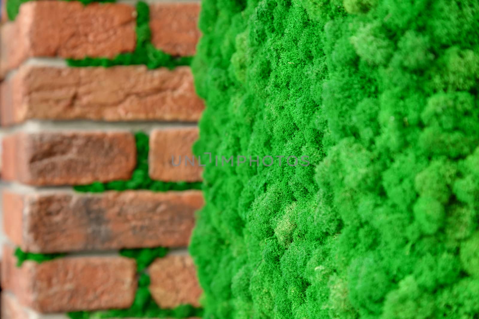 Brick wall with decorative green moss close-up. Decorative floral background.