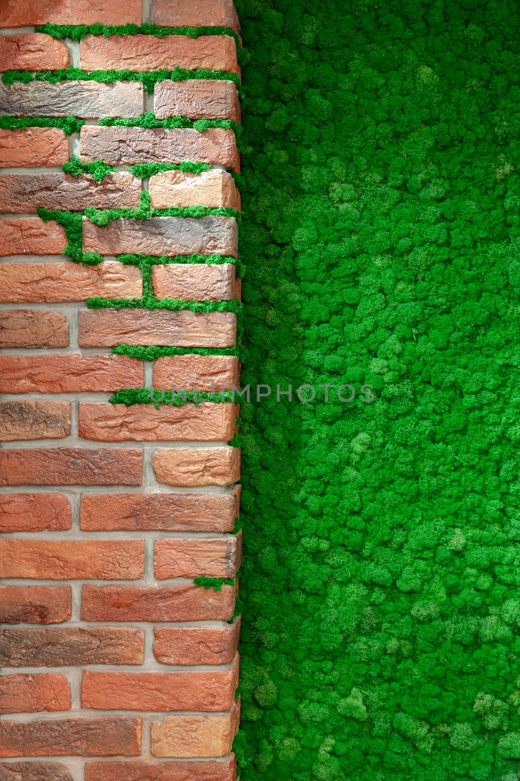 Brick wall with decorative green moss close-up. Decorative floral background.