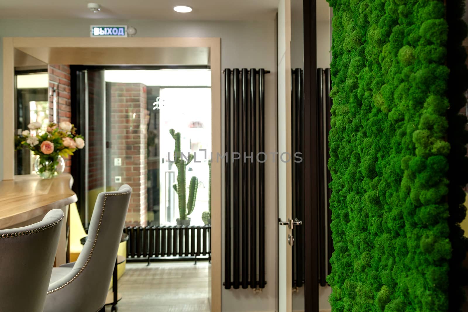 Decorative wall of green moss in a beauty salon by sveter